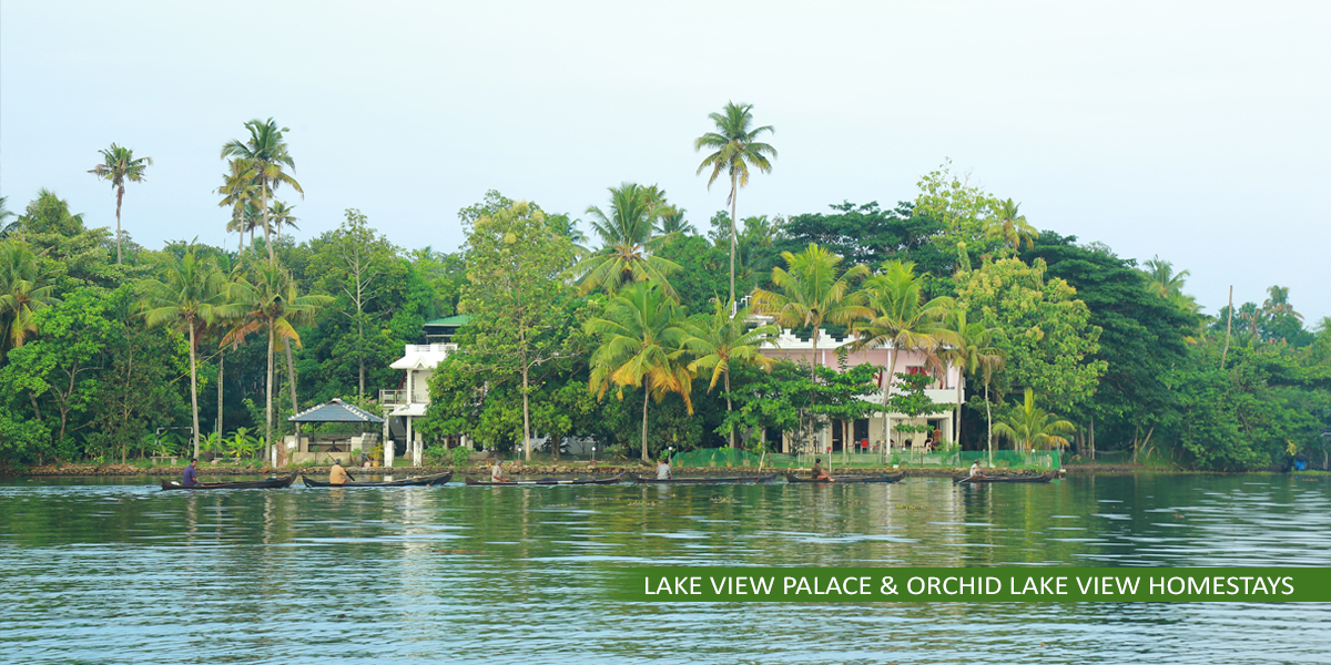 Orchid Lake View Homestay 