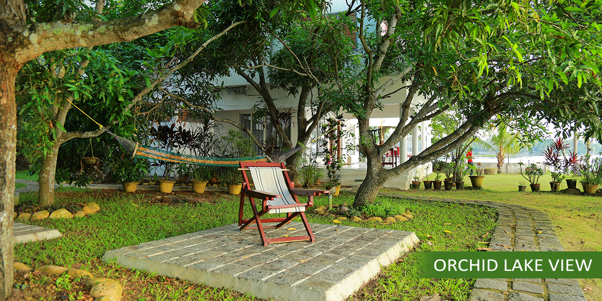 Orchid Lake View Homestay 